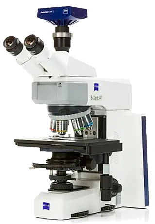 Ремонт Микроскопов Zeiss